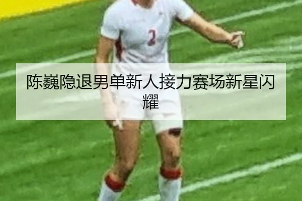 chen-wei-yin-tui-nan-dan-xin-ren-jie-li-sai-chang-xin-xing-shan-yao-2-950.jpg