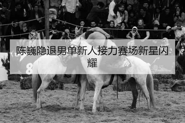 陈巍隐退男单新人接力赛场新星闪耀